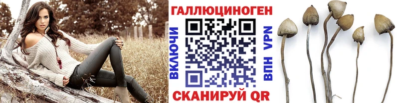 Псилоцибиновые грибы Psilocybe  Белинский 